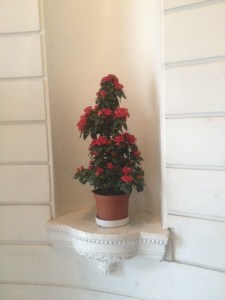 guerrilla_beauty_update